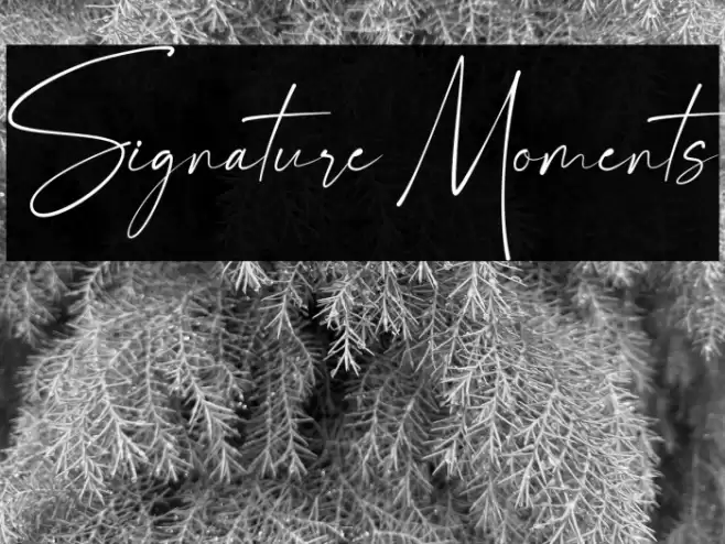 Signature Moments Font examples