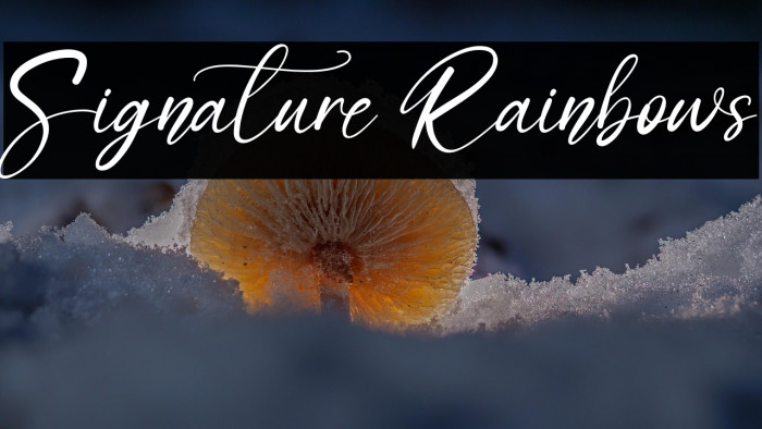 Signature Rainbows Example 1