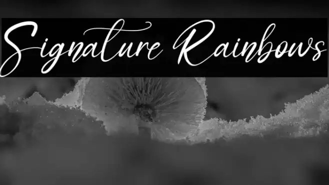 Signature Rainbows Caratteri examples
