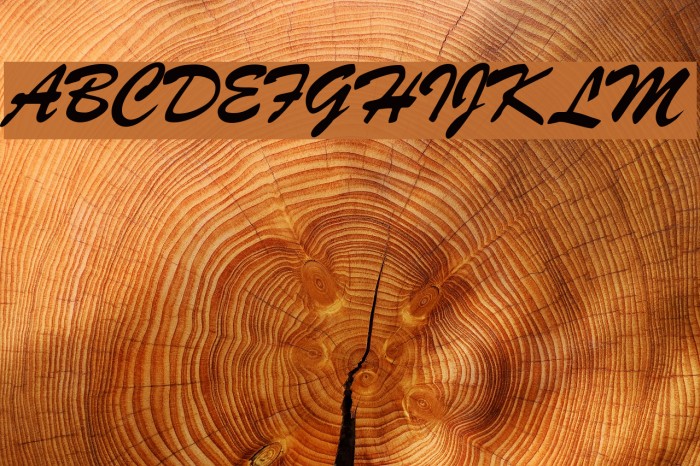 Signature Regular Font examples