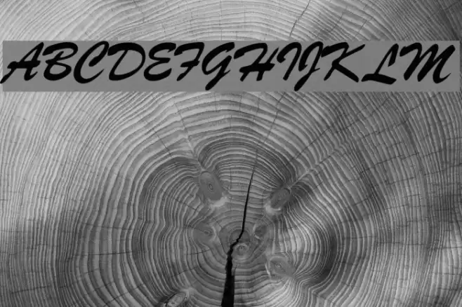 Signature Regular Font examples