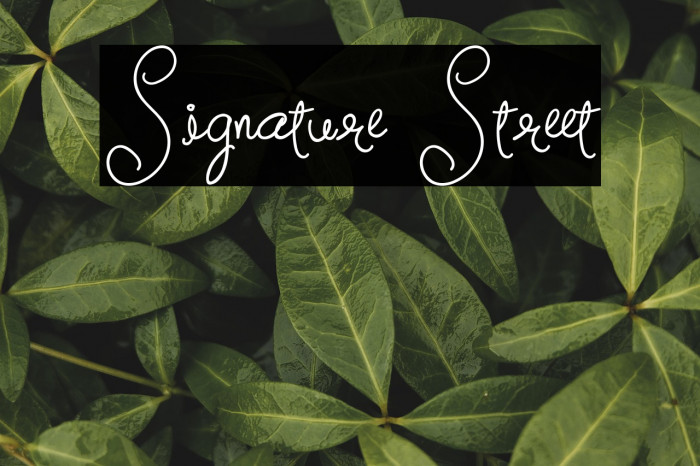 Signature Street Example 2