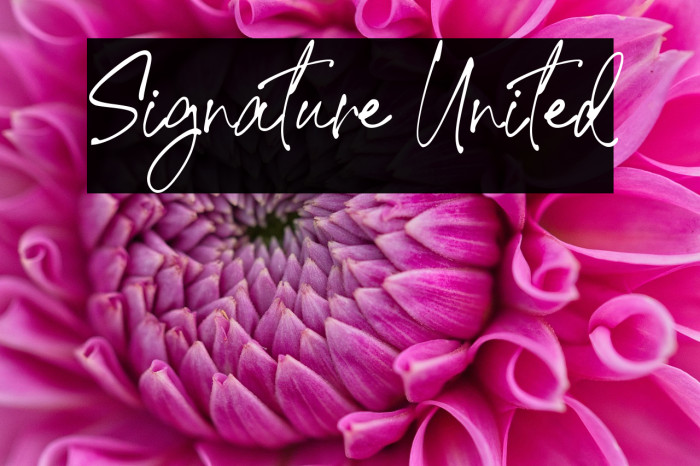 Signature United Example 1