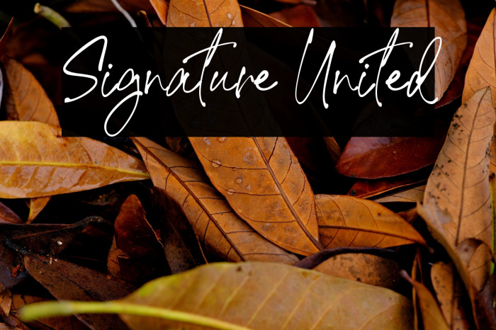 Signature United Example 2