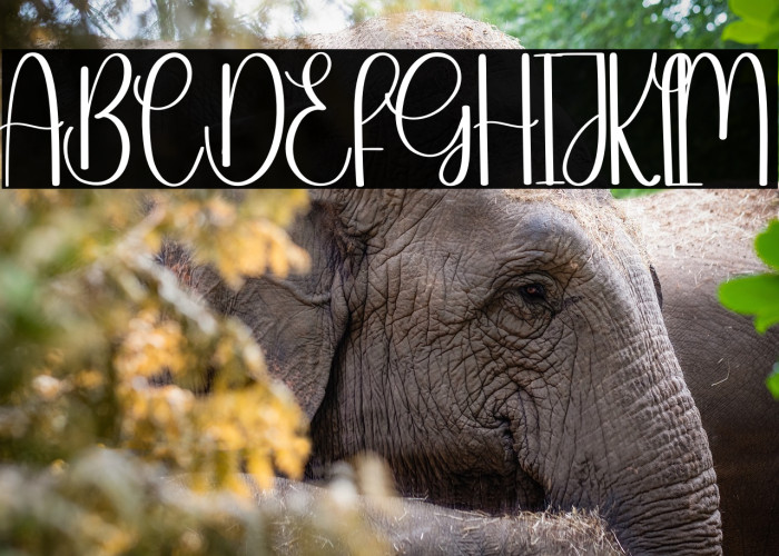 Signature Valentine Example 1