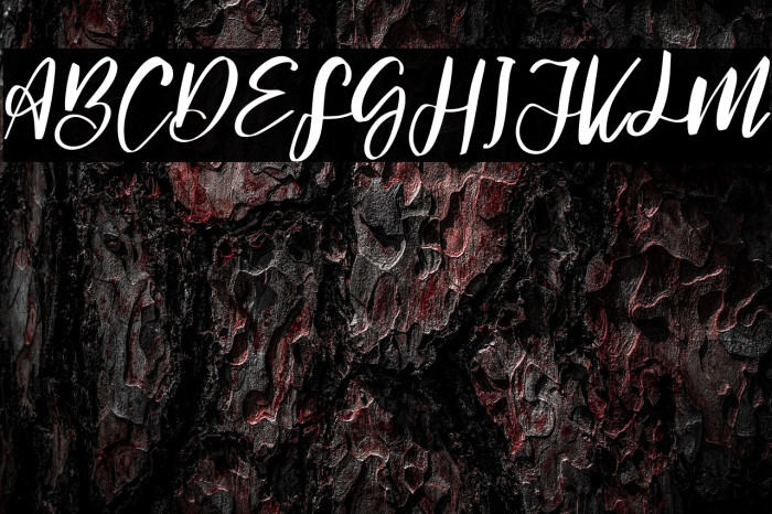 Signature hawk Regular Example 1