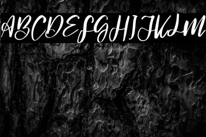 Signature hawk Regular Font examples