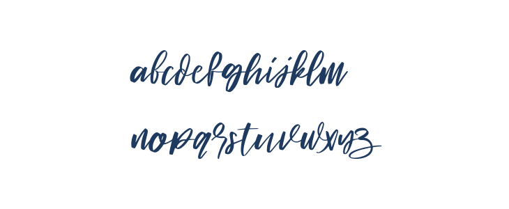 Signature hawk Regular Lowercase