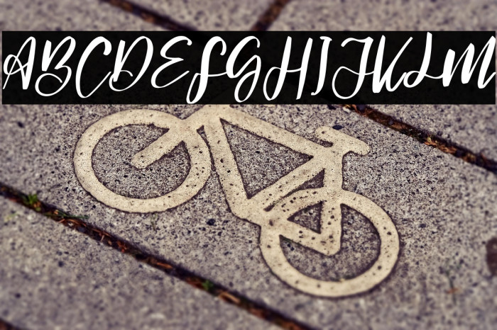 Signature hawk Regular Example 3