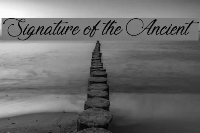 Signature of the Ancient Font examples