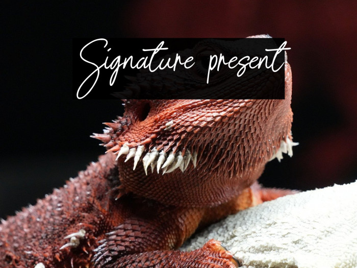 Signature present Example 1