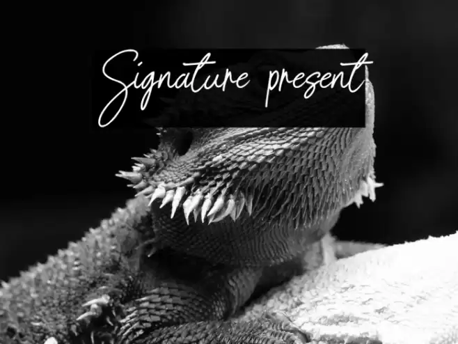 Signature present Font examples