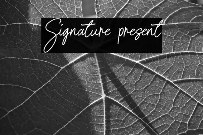 Signature present Font examples