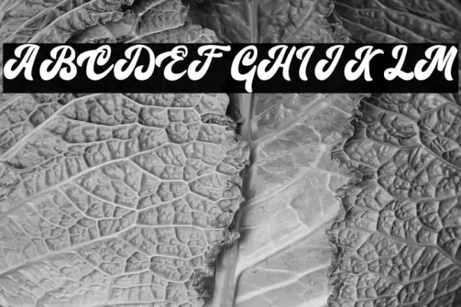 Signature Font examples