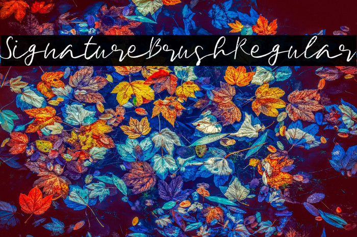 SignatureBrushRegular Example 3