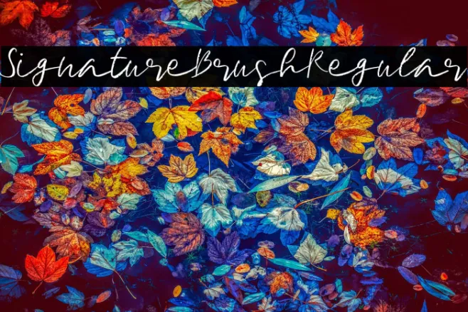 SignatureBrushRegular Example 3