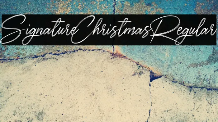 SignatureChristmasRegular Example 1