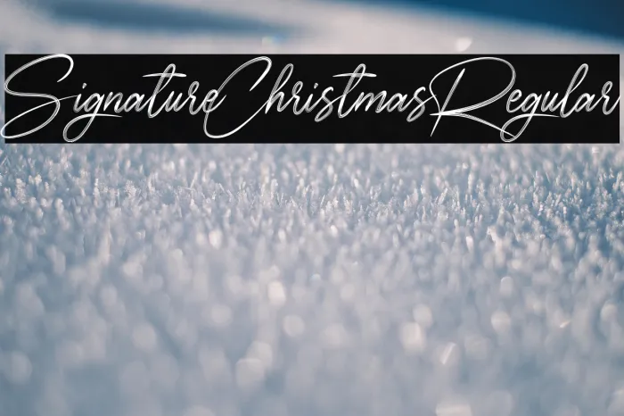 SignatureChristmasRegular Example 2
