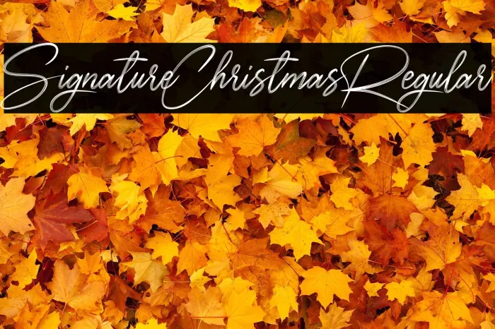 SignatureChristmasRegular Example 3