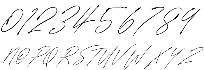 SignatureVP Font OTHER CHARS