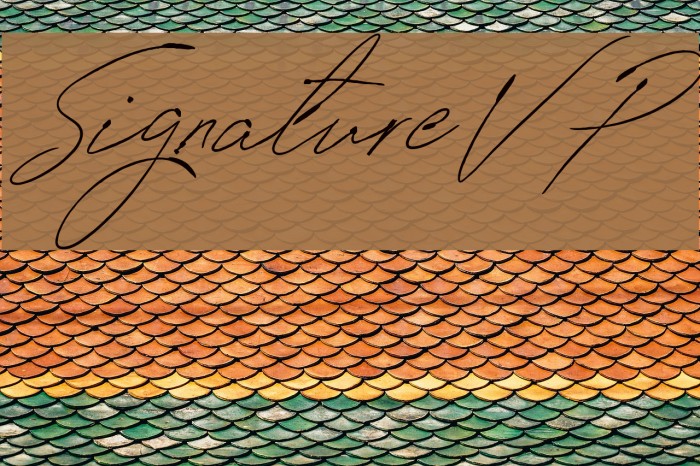SignatureVP Font examples
