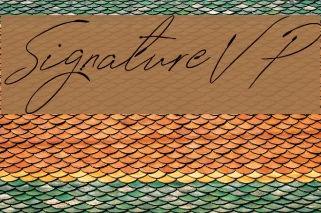 SignatureVP Example 1
