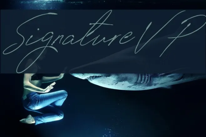 SignatureVP Example 2