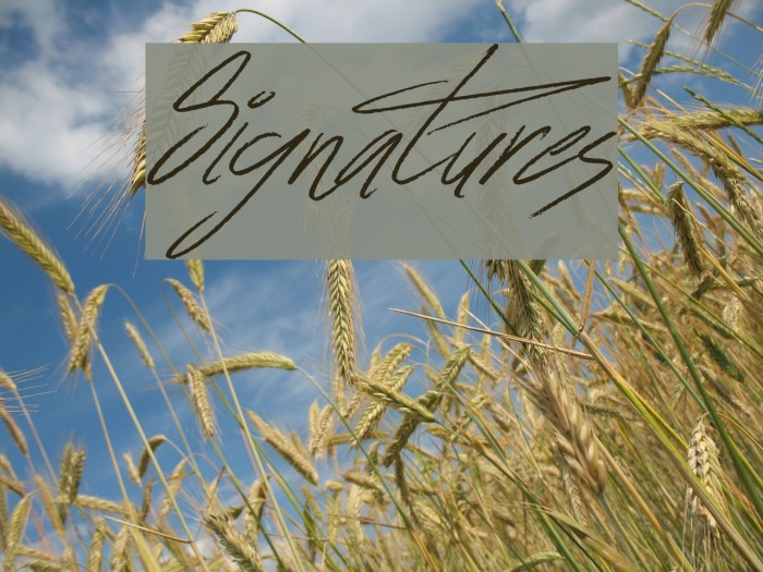 Signatures Font examples