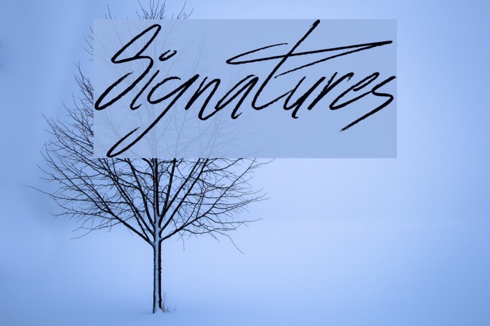Signatures Font examples