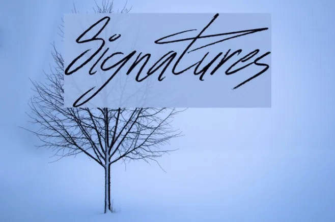 Signatures Example 2