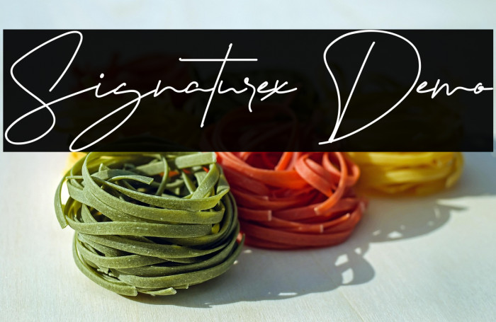 Signaturex Demo Example 1