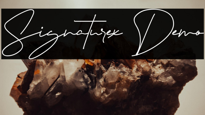 Signaturex Demo Example 2