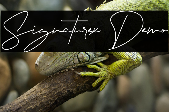 Signaturex Demo Example 3