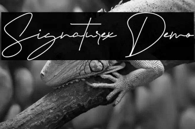 Signaturex Demo Font examples