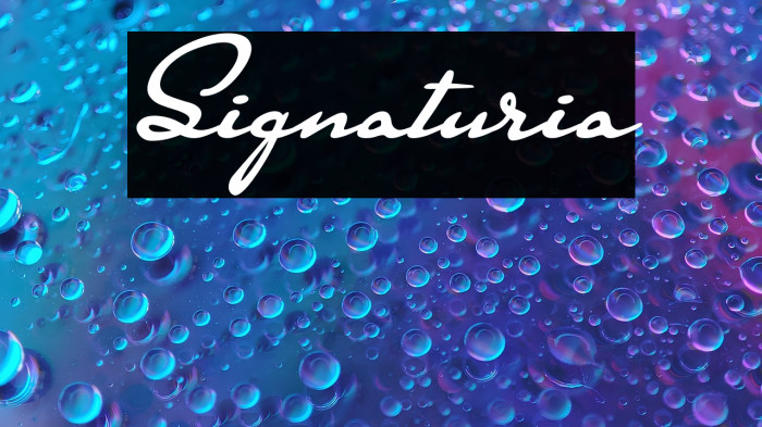 Signaturia Example 1