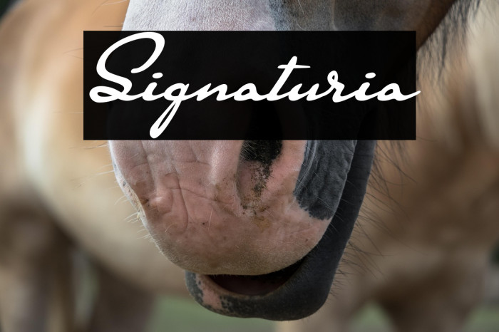 Signaturia Example 2