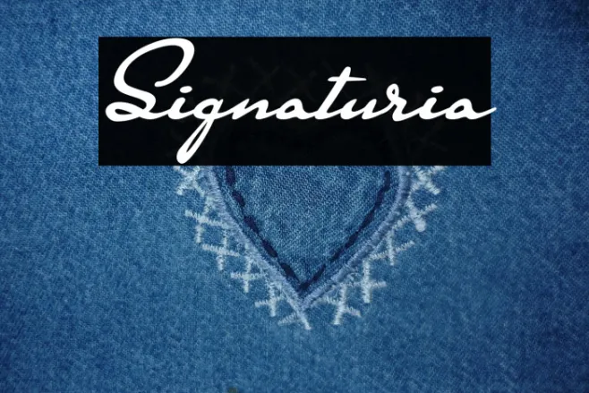 Signaturia Example 3