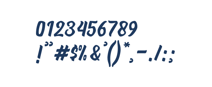 Signatype-Regular Other Characters