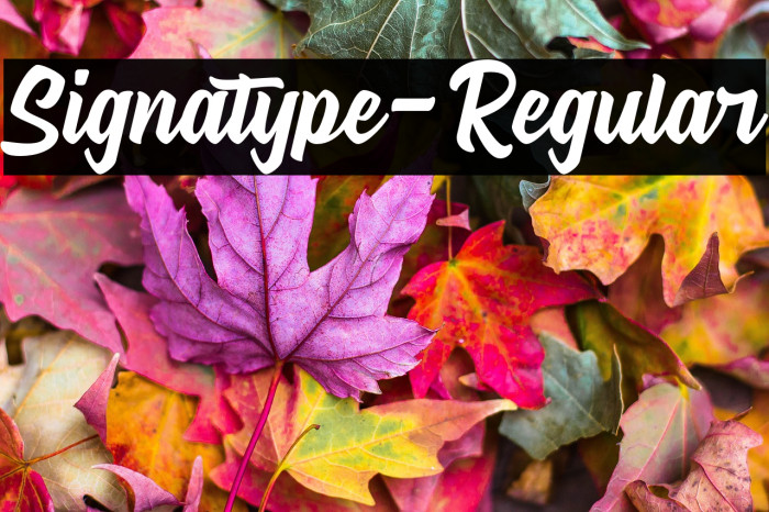 Signatype-Regular Example 1