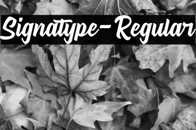 Signatype-Regular Font examples