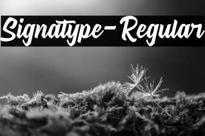 Signatype-Regular Font examples