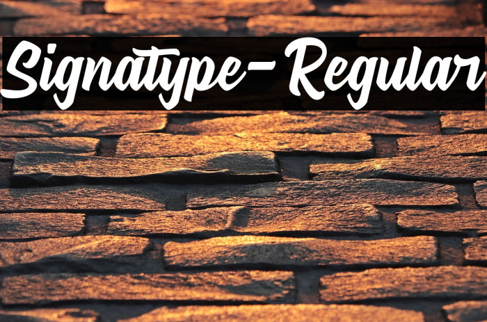 Signatype-Regular Example 3