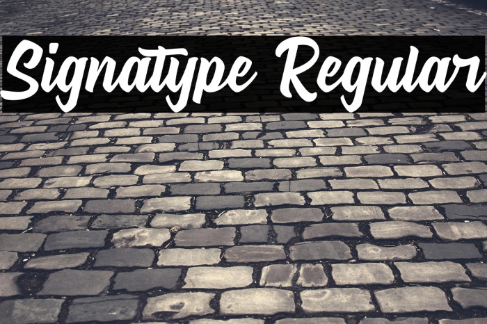 Signatype Regular Example 1