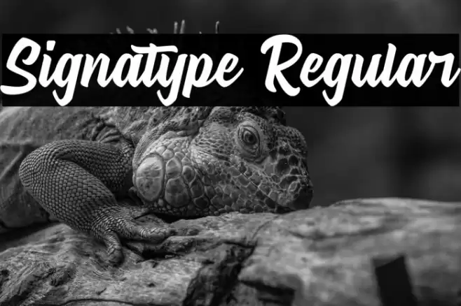 Signatype Regular Font examples