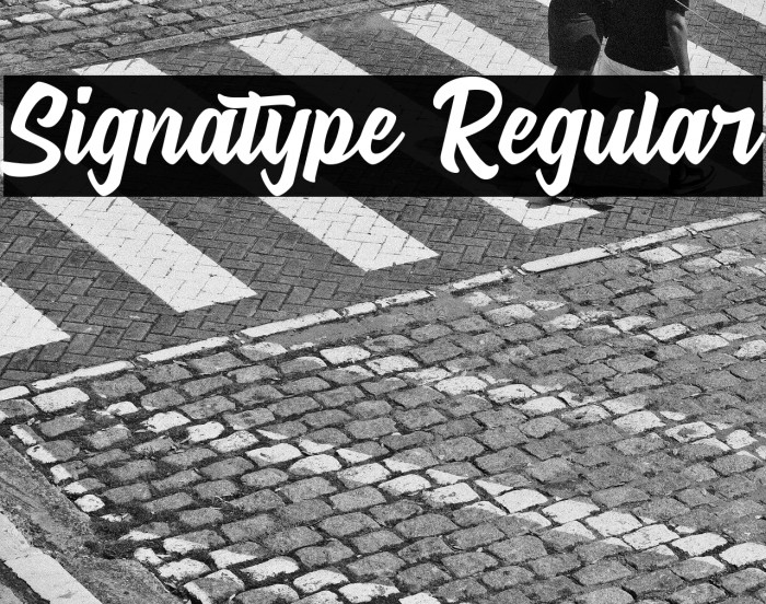 Signatype Regular Example 3