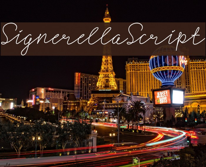 SignerellaScript Font examples