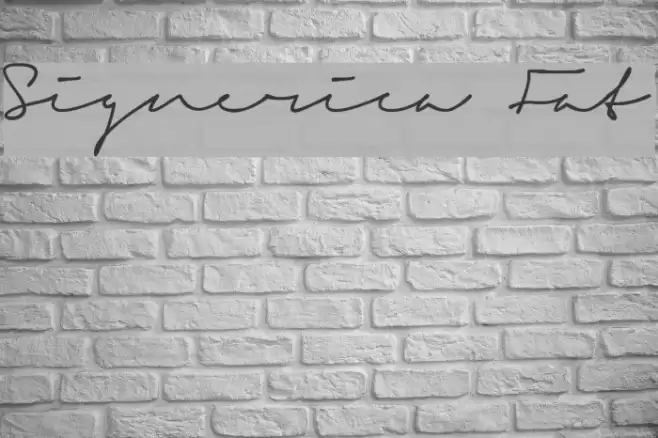 Signerica Fat Font examples