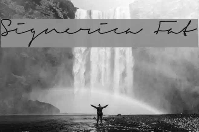 Signerica Fat Font examples