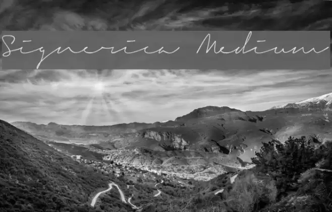 Signerica Medium Font examples