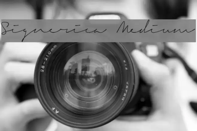 Signerica Medium Font examples